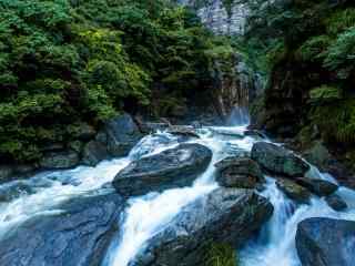 庐山山涧的溪水河流桌面壁纸