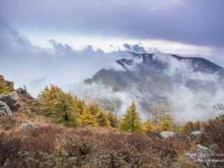 雾灵山壮观雾景桌面壁纸