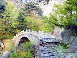 中国最美山峰之小清新庐山风景