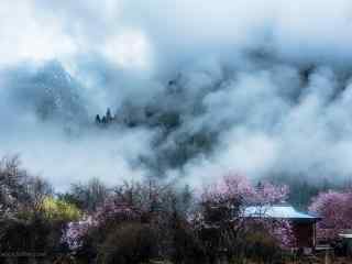 毕业旅行地之西藏桃林风景