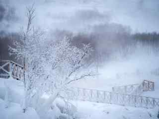 长白山雪景高清壁纸