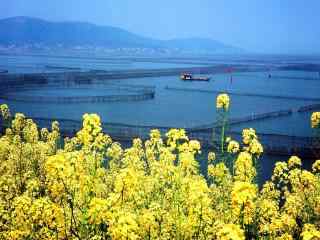 美丽的苏州太湖风景壁纸