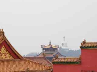 北京故宫红墙风景壁纸