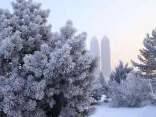 美丽的吉林雾凇风景壁纸