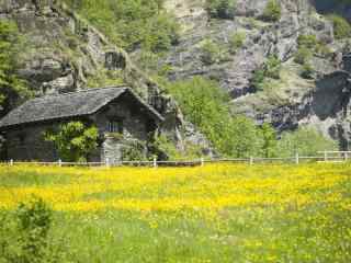 夏天清凉的山坡风景桌面壁纸