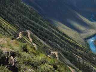 山坡唯美风景壁纸