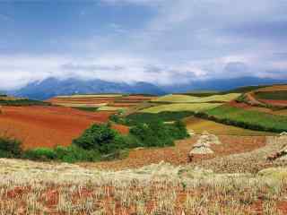 梯田山坡风景桌面壁纸