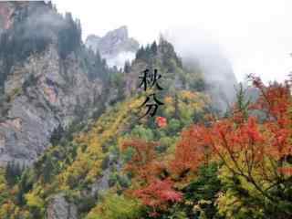 节气之秋分风景桌面壁纸