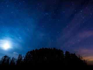 夜晚树林星空风景壁纸