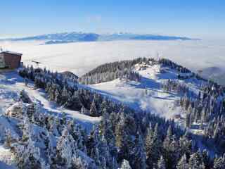 唯美雪景雪花高清桌面壁纸