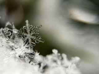 清新小雪花高清桌面壁纸