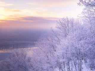 冬天唯美雪景桌面壁纸