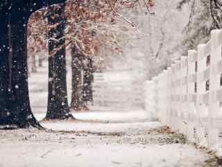 雪花自然唯美风景高清桌面壁纸