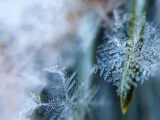 清新唯美雪花图片桌面壁纸