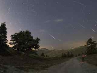 Perseid Meteors 